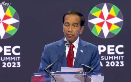 Presiden Jokowi Ajak Pebisnis di APEC CEO Summit untuk Berinvestasi di Indonesia