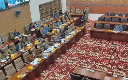 Selama Pandemi Covid-19, Pemerintah Keluarkan Dana Rp44,160 Triliun untuk UKM