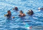 Kaesang Anak Muda yang Peduli Terhadap Ekosistem Laut