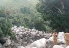 Banjir Bandang Simangulampe, Bupati Humbahas Sebut Ada Penebangan di Hulu