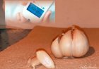 Manfaat Bawang Putih Dalam Menurunkan Kadar Gula Darah Pada Penderita Diabetes Mellitus Tipe II