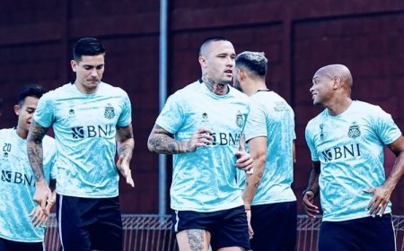 Ada Radja Nainggolan, Liga 1 Naik Kelas