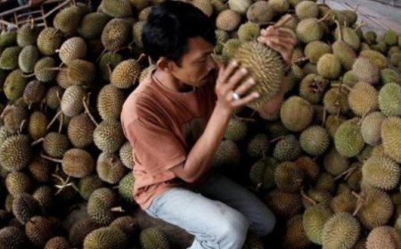 Cara Memilih Durian yang Matang dan Manis