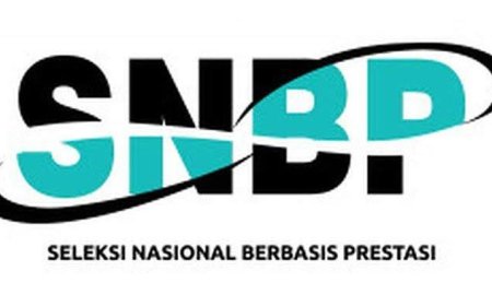Tips Tahapan Pengisian PDSS untuk SNBP 2024 Agar tak Salah
