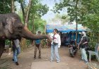 Peduli Medan Zoo Influencer Kota Medan Ajak Masyarakat Ramaikan Kembali