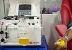 Mengenal Donor Darah Apheresis, Begini Syarat, Ketentuan dan Manfaatnya Bagi Tubuh