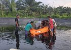 Seorang Pria Ditemukan Meninggal Dunia dalam Kolam Tambak Udang di Sergai