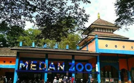 Medan Zoo Krisis Finansial, Picu 3 Harimau Mati, Karyawan 5 Bulan Tak Digaji