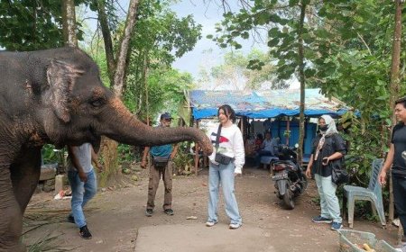 Peduli Medan Zoo Influencer Kota Medan Ajak Masyarakat Ramaikan Kembali