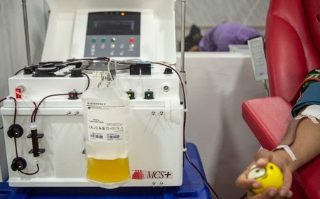 Mengenal Donor Darah Apheresis, Begini Syarat, Ketentuan dan Manfaatnya Bagi Tubuh