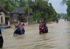 485 Rumah Warga di Kabupaten Bungo Jambi Terendam Banjir