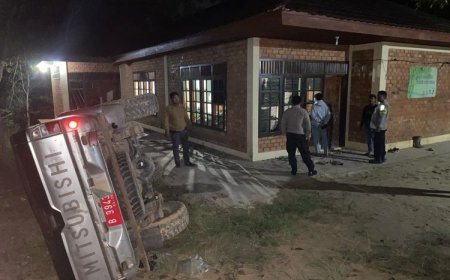 Amukan Gajah di Kebun Sawit, Dibalas Aksi Anarkis Warga