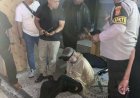 Putus Cinta, Motif WN Rusia di Bali Mengamuk di Restoran Pakai Kapak