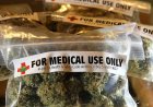 MK Tolak Gugatan Legalisasi Ganja Medis Orang Tua Anak Penderita Cerebral Palsy