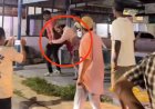 Buron Beberapa Hari, Pelaku Pembunuhan Wanita di Kutalimbaru Dibekuk Polisi, Sempat Mau Bunuh Diri