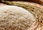 Pengamat Sebut Gejolak Harga Beras Tidak Semua Karena El Nino