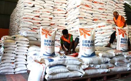 Waduh! Harga Beras Takkan Turun, Apa Sebabnya?