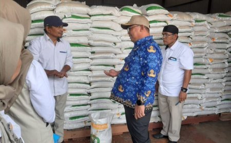 2.000 Ton Beras Impor Vietnam Jadi Stok Beras Bulog Palopo