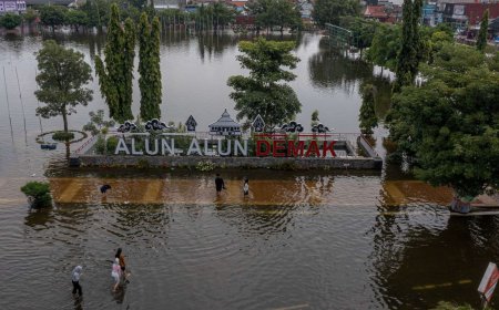 Demak Terancam Tenggelam, Penanggulangan Banjir di Pantura Harus Tepat dan Segera