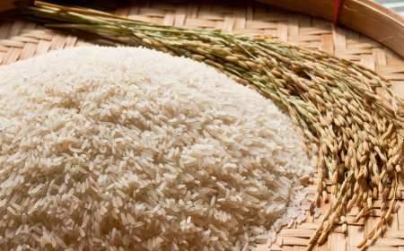 Pengamat Sebut Gejolak Harga Beras Tidak Semua Karena El Nino