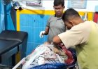 Seorang Lansia di Madina Ditemukan Tewas Bersimbah Darah, Diduga Diterkam Harimau