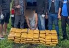 Oknum Polisi di Sumbar Ditangkap BNN Saat Bawa 141 Kg Ganja, Diupahi Rp 2 Juta Oleh Napi