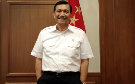 Bangun Smart City di IKN, Jokowi Tunjuk Luhut Jadi Koordinator Apple