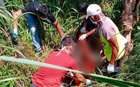Penemuan Mayat Mr X Gegerkan Warga Langkat, Kondisi Jasad Membusuk-Kepala Tinggal Tengkorak