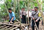 Polsek Dolok Masihul Bongkar Gubuk Narkoba