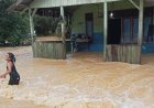Pascahujan Deras, Desa Namo Buaya Subulussalam Direndam Banjir