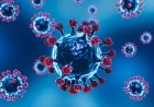 Ini Virus Ciptaan Ilmuwan China yang Efek Infeksinya Mengerikan