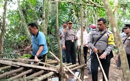 Polsek Dolok Masihul Bongkar Gubuk Narkoba