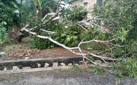 Angin Puting Beliung Kabupaten Bangka Selatan, 12 Rumah Terdampak