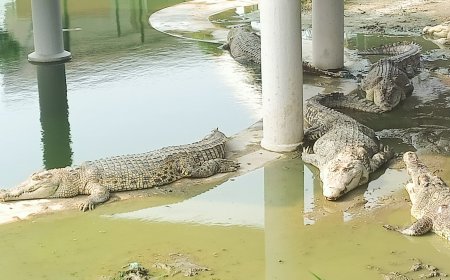 Asam Kumbang Jadi Pilihan Terbaik Menghabiskan Waktu Akhir Pekan
