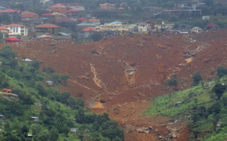 300 Orang Tewas-Seribuan Rumah Tertimbun saat Longsor Besar Menerjang Desa Terpencil Papua Nugini