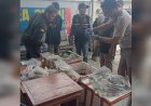 Bea Cukai Gagalkan Penyelundupan 100 Ekor Reptil Dilindungi di Asahan