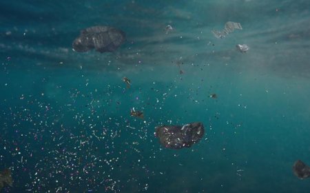 Hasil Studi Beberkan Indonesia Konsumsi Mikroplastik Terbanyak di Dunia
