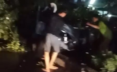 Pohon Tumbang Timpa Pengendara, BMKG Memprediksi Hujan Berlangsung hingga Dinihari