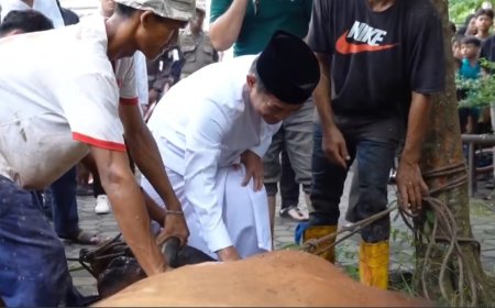Pj Gubernur Hassanudin Tak Tega Lihat Limosin Berbobot Gempal Disembelih, Masjid Al-Jihad Sembelih 67 Hewan Kurban