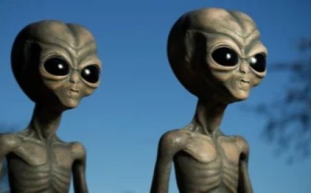 Peneliti Harvard: Alien Mungkin Sudah Tinggal di Bumi Dalam Waktu Terbatas