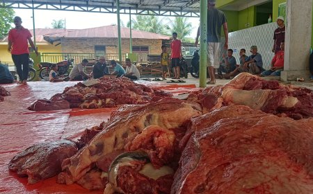 Emak-emak di Sidoarjo Terekam CCTV Nyolong Daging Kurban, Pelaku Bukan Warga Setempat