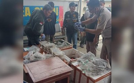 Bea Cukai Gagalkan Penyelundupan 100 Ekor Reptil Dilindungi di Asahan