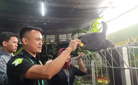 Ada Animal Xperience, Cocok Untuk Mengisi Libur Sekolah di Delipark Mall, Ini Harga Tiketnya