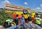 Bus Rombongan Nikahan Dihantam Truk Kayu di Tol Gresik, 2 Orang Tewas