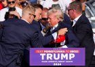 Calon Presiden AS Donald Trump Ditembak Saat Gelar Kampanye