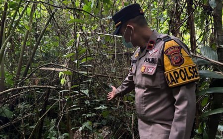 Geger, Mayat dengan Kondisi Kepala Lepas Ditemukan di Hutan Situgunung, Sukabumi