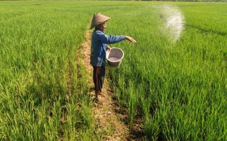 Amran Buka-bukaan Alokasi Pupuk dan Anggaran Kementan Terjun Bebas