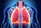 Ini 5 Cara Menjaga Kesehatan Organ Pernapasan, Kamu Harus Tahu
