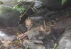 Heboh, Tengkorak Manusia Ditemukan di Pinggir Sungai