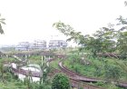 Kawasan IKN Masih Bebas Malaria, Ini Penjelasan Pejabat Otorita IKN